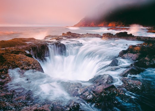 Verena Popp-Hackner und Georg Popp, Wild Views